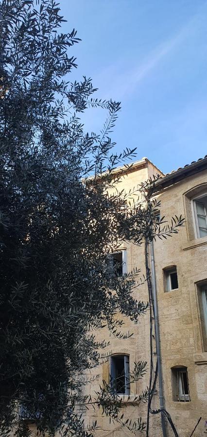 Le Petit Olivier En Coeur De Ville + Parking Incl. Montpellier Exterior foto